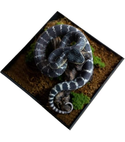 Amazon.co.jp: 動物惑星 マツカサトカゲ 14CM 樹脂 フィギュア 台座
